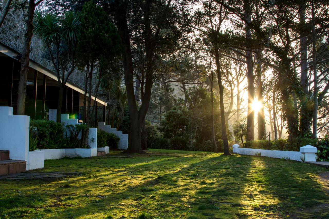Silvermist Wine Estate Kaapstad Buitenkant foto